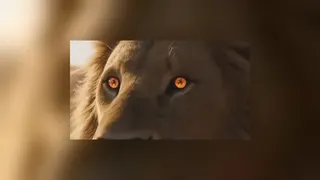مبارزه شیر با ببر وحشی