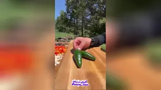 آشپزی در طبیعت