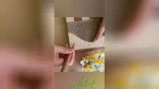 منبت شیراز