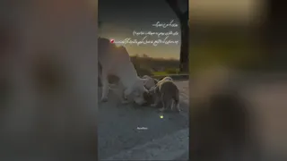 ااااا