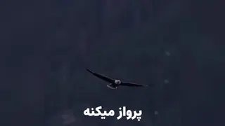 ترفندعقاب