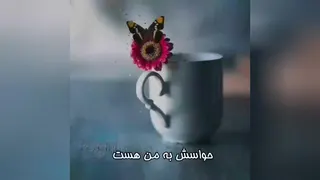 آیا تنهایی؟!