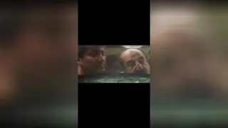 مفت بر