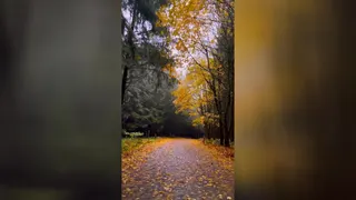 غروب پاییزه....