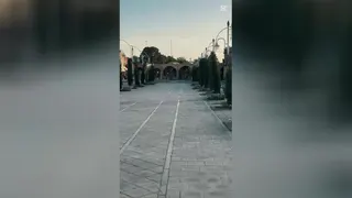 ترمه