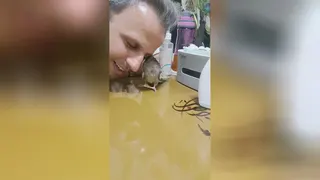 نوازش مژه