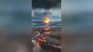 شراب حضور