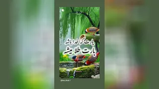 خدا رو باور کن