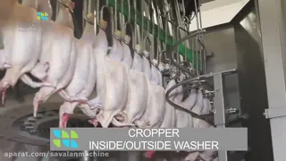خط کشتار و بسته بندی مرغ