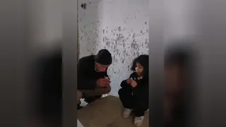 انسانیت