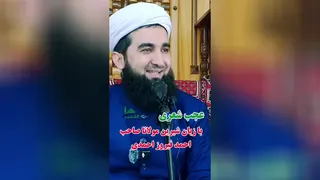 مولانا احمد فیروز احمدی