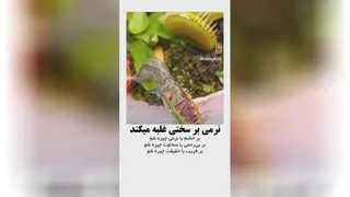 یک کلیپ خیلی دیدنی و اموزنده