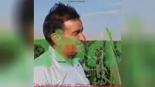 استفاده از کود ارگانیک-بیولوژیک برند گابریست