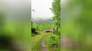 صدای طبیعت