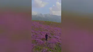 طبیعت