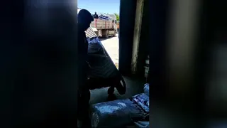مرکز فروش بچه ماهی