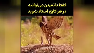 انگیزشی، کسب و کار