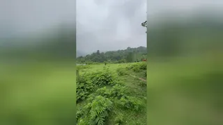 طبیعت سوادکوه