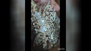 کلیپس مجلسی پروانه