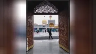 توسل به امام رضا