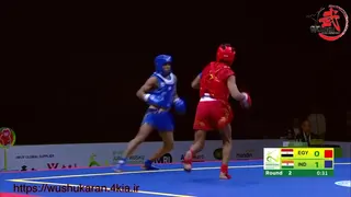 مسابقات جهانی ووشو _ اندونزی 2022