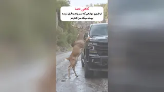 معجزه