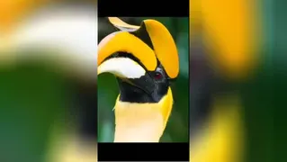 سخنان بزرگان و پند آموز