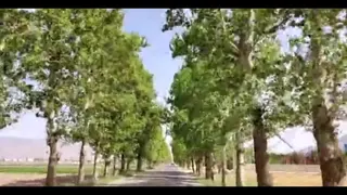 ویدیوی طبیعت با فونت جذاب👌😉