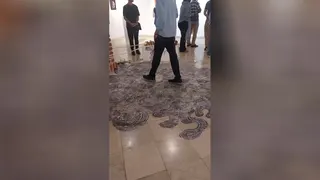 نمایشگاه آثار هنری