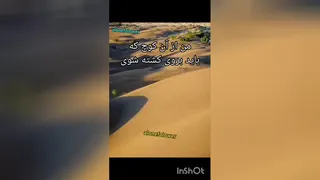 شاعرانه
