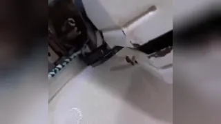تشک 2