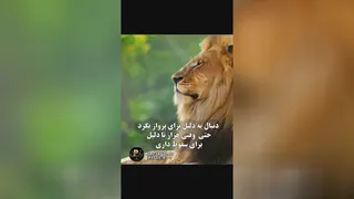 انگیزشی نگرشی موفقیت