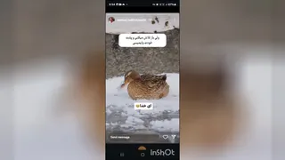 تلاش خودت نتیجه میده