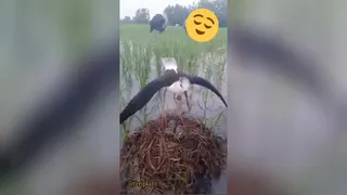 بفرس برای دوست واقعی ت