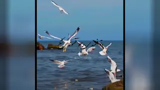 شکرگزاری روزانه