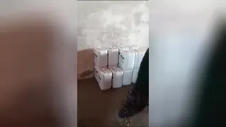 کود کامل و هیومیک اسید