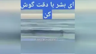 شکرگذاری