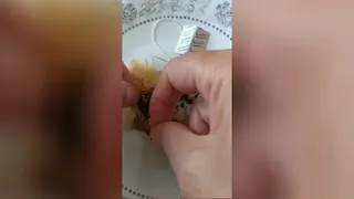 لاغری و چاقی با دمنوش