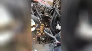 امداد خودرو