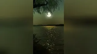 شب خوش وبه سلامتی