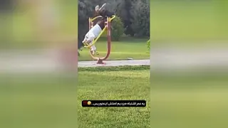 راهش همینه