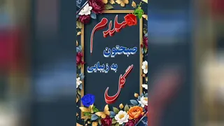 شادی واریزی بخش
