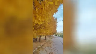 طبیعت چشم نواز