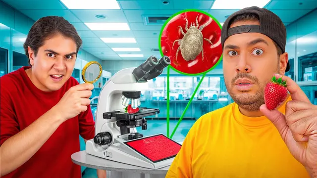 میکروسکوپ خریدیم! این حشره‌ها روی غذا بودن😨🥴