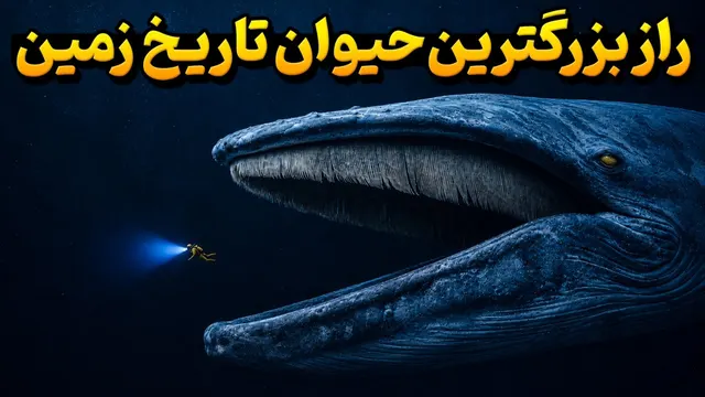 چرا تمام اقیانوس باید از نهنگ‌ آبی بترسند؟