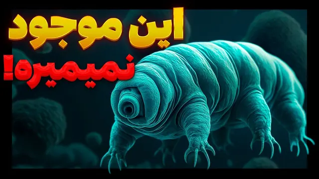رمز و راز حیات این موجود در فضا! 😨 خرس آبی یا تاردیگرید چیست؟