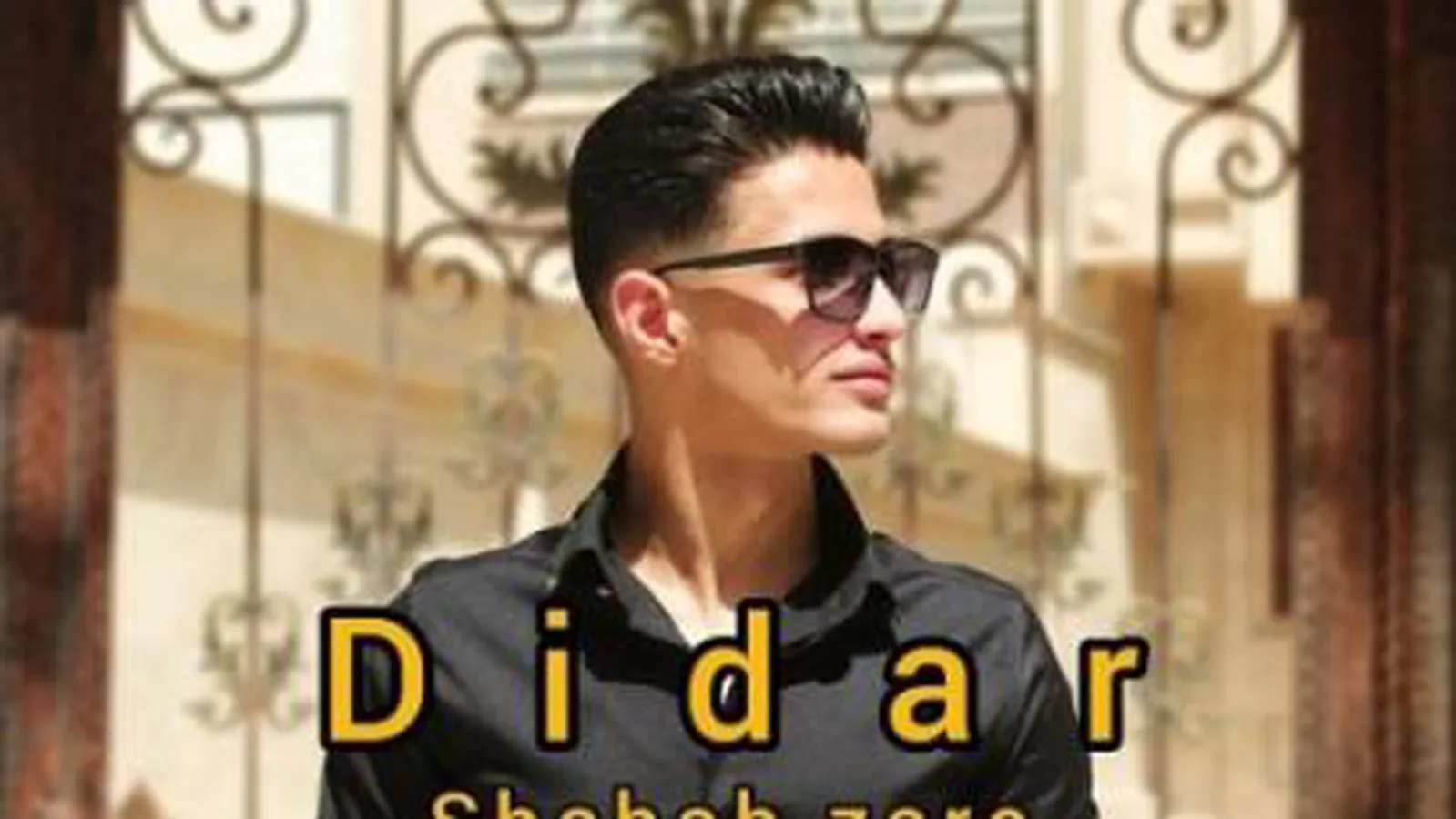 شهاب زارع دیدار