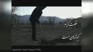 هفته درختکاری مبارک