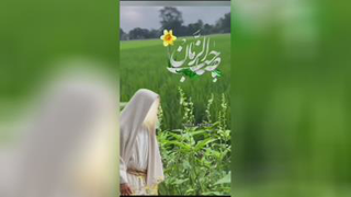 ظهور