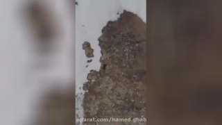 کلیپ انگیزشی موفقیت